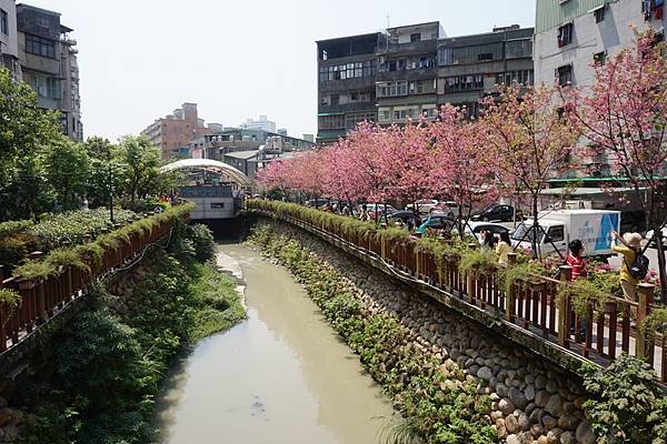 2016-04-06土城希望之河