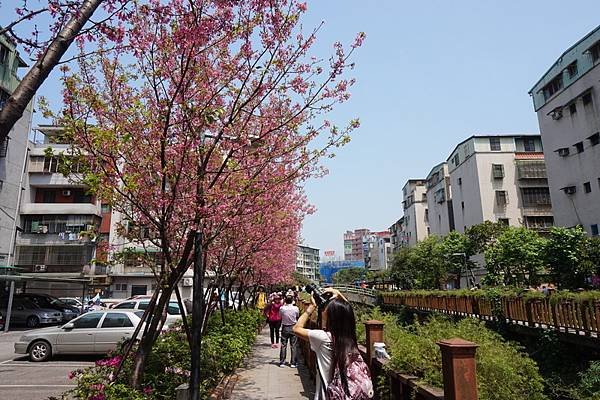 2016-04-06土城希望之河