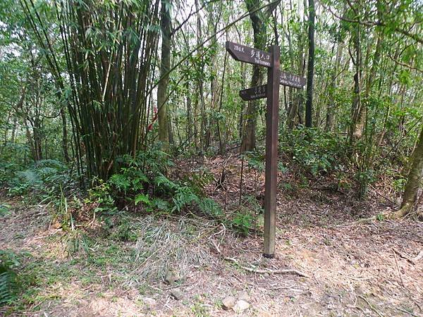 2016-03-08石底古道(磐石嶺登山步道)