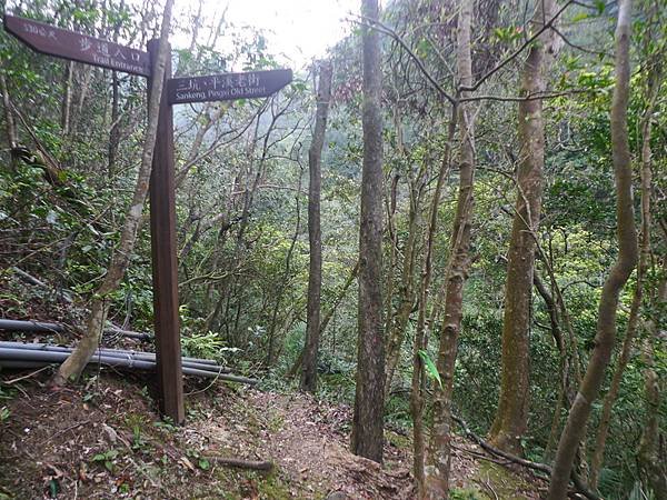 2016-03-08石底古道(磐石嶺登山步道)