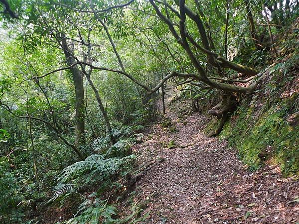 2016-03-08石底古道(磐石嶺登山步道)