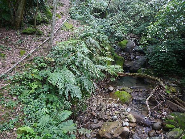 2016-03-08石底古道(磐石嶺登山步道)