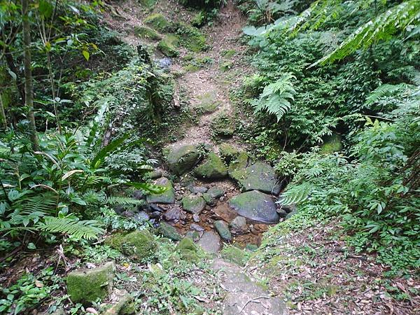 2016-03-08石底古道(磐石嶺登山步道)