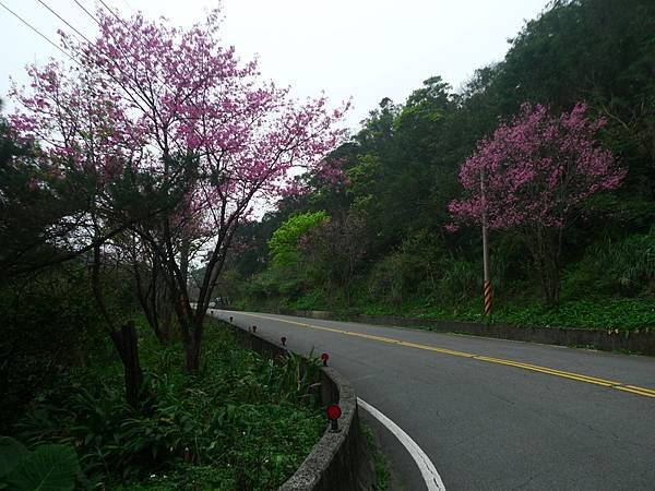 2016-03-08石底古道(磐石嶺登山步道)