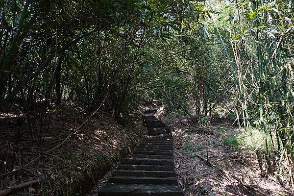 2016-03-03四股埤登錦峰山