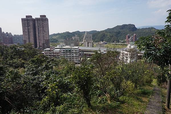 2016-03-03四股埤登錦峰山