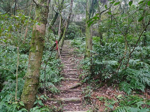 2016-03-01平溪鳥嘴尖登山步道(923)