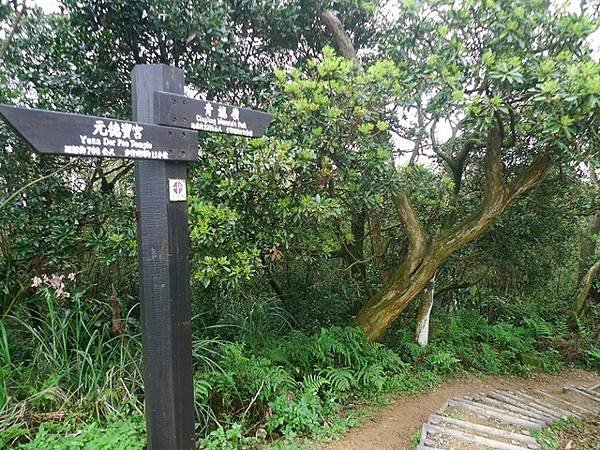 2016-02-20牛埔山、大棟山、大青坑崙、青龍嶺、三角頂