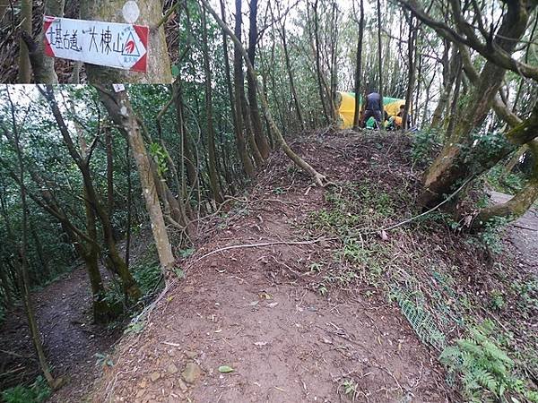 2016-02-20牛埔山、大棟山、大青坑崙、青龍嶺、三角頂