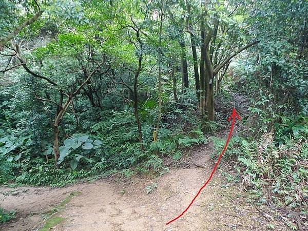 2016-02-20牛埔山、大棟山、大青坑崙、青龍嶺、三角頂