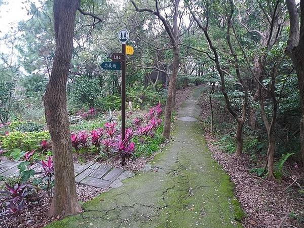 2016-02-20牛埔山、大棟山、大青坑崙、青龍嶺、三角頂