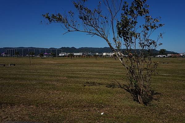 2016-02-13大漢溪右岸