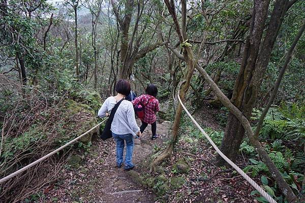 2015-12-23汐止獅頭山&amp;星光橋