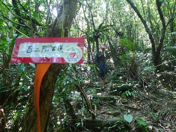 2015-07-18逸仙山、苕谷坑山、麻竹坑山、梅竹蹊山O形