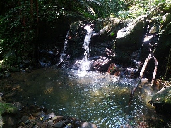 2015-07-18逸仙山、苕谷坑山、麻竹坑山、梅竹蹊山O形