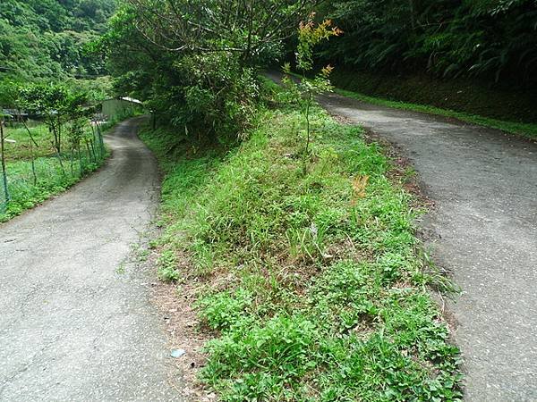 2015-07-05灣潭古道、北勢溪古道