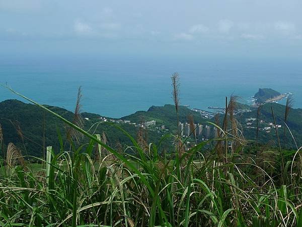 2015-03-28丁火巧山、三百步嶺、八斗山、北八斗東南峰