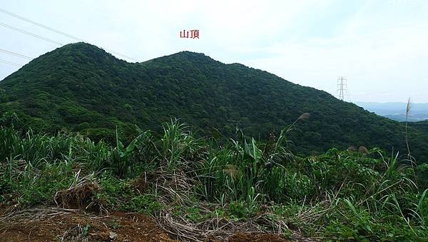 2015-03-28丁火巧山、三百步嶺、八斗山、北八斗東南峰