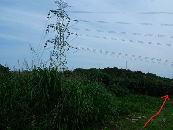 2015-03-28丁火巧山、三百步嶺、八斗山、北八斗東南峰