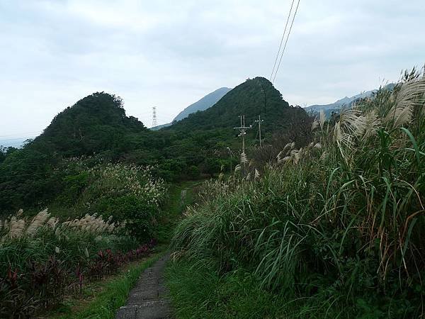 2014-12-13秀崎山、瑞芳山、龍潭山