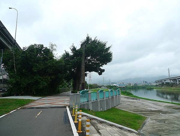 2014-11-02基隆河自行車道汐止段(星光橋)