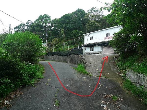 P1210031.jpg