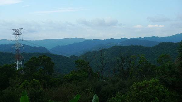 P1210032.jpg