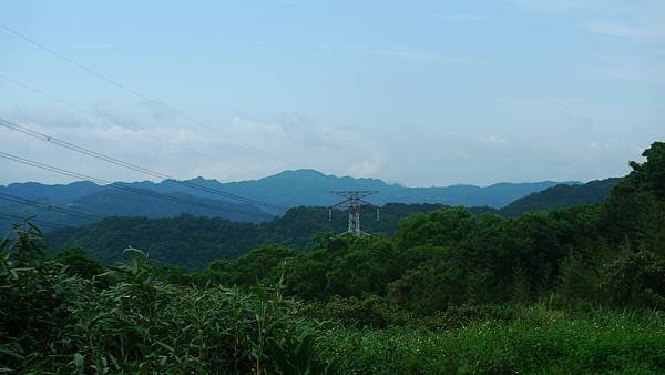 P1210034.jpg