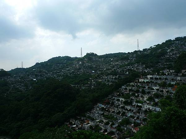 P1200525.jpg
