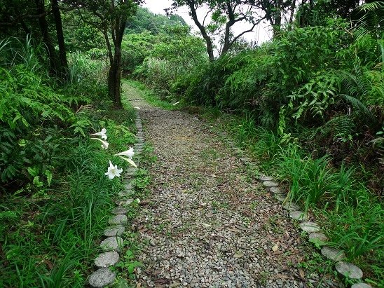 2012-04-28栳寮古道更寮古道O形(613)