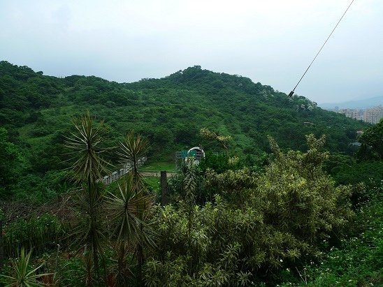 2012-04-28栳寮古道更寮古道O形(613)