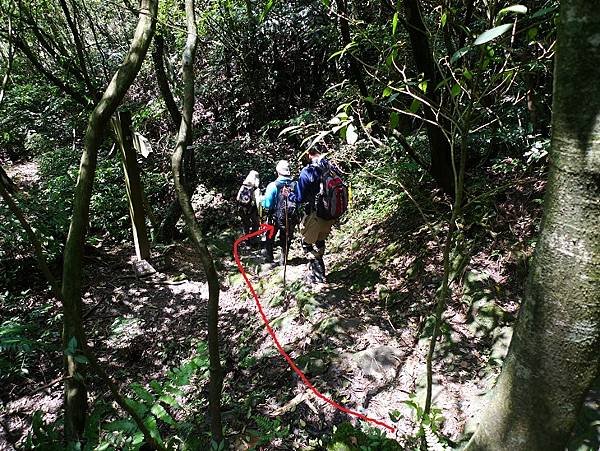 2012-03-25柴寮古道登獅子嘴奇岩連走蛇仔形古道