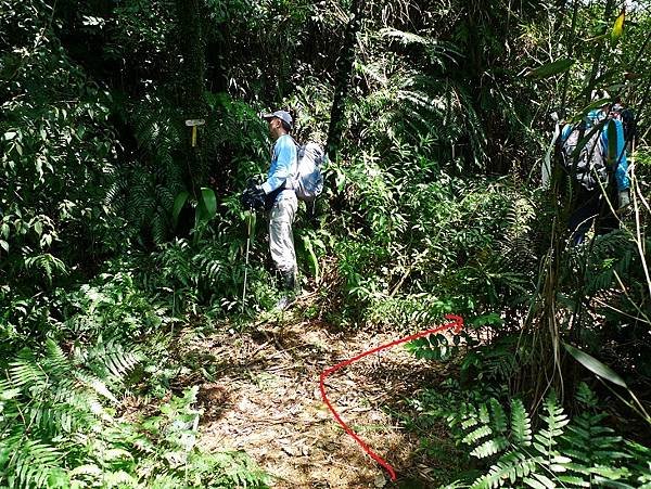 2012-03-25柴寮古道登獅子嘴奇岩連走蛇仔形古道