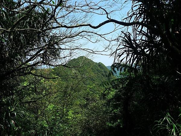 2012-03-25柴寮古道登獅子嘴奇岩連走蛇仔形古道