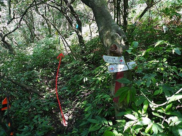 2012-03-25柴寮古道登獅子嘴奇岩連走蛇仔形古道