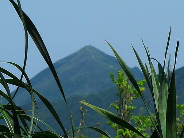 2012-03-25柴寮古道登獅子嘴奇岩連走蛇仔形古道