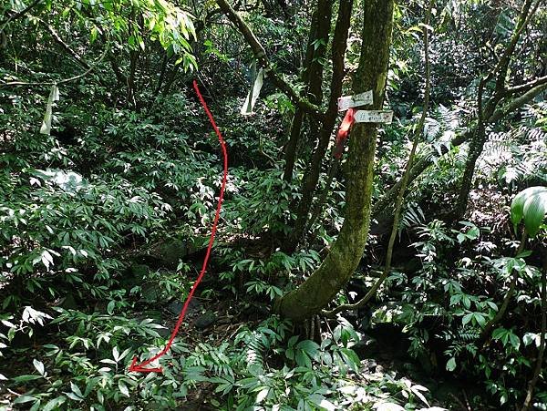 2012-03-25柴寮古道登獅子嘴奇岩連走蛇仔形古道