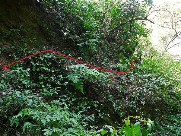 2012-03-25柴寮古道登獅子嘴奇岩連走蛇仔形古道