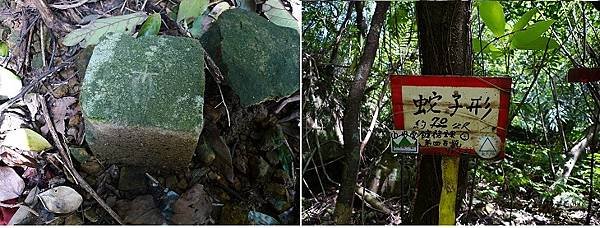 2012-03-25柴寮古道登獅子嘴奇岩連走蛇仔形古道