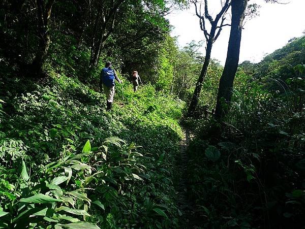 2012-03-25柴寮古道登獅子嘴奇岩連走蛇仔形古道