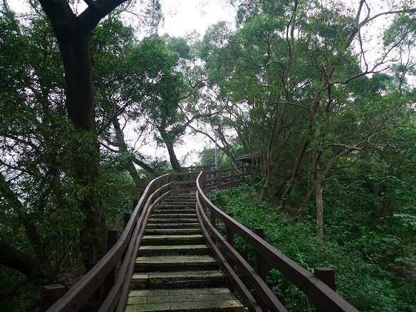 2012-03-04翠山街登獅頭山連走翠山步道順摸鴨母嶺(6