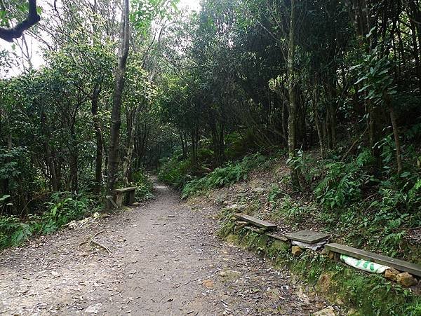 2012-03-04翠山街登獅頭山連走翠山步道順摸鴨母嶺(6