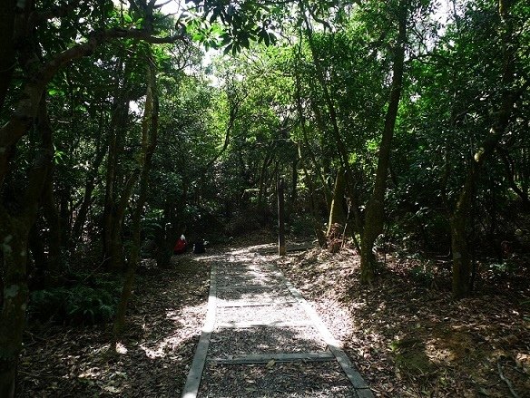 2012-03-04翠山街登獅頭山連走翠山步道順摸鴨母嶺(6