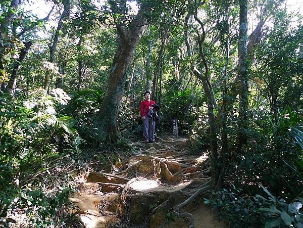 2012-02-04小百岳里龍山下集(597)