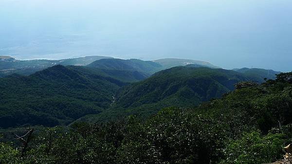 2012-02-04小百岳里龍山下集(597)