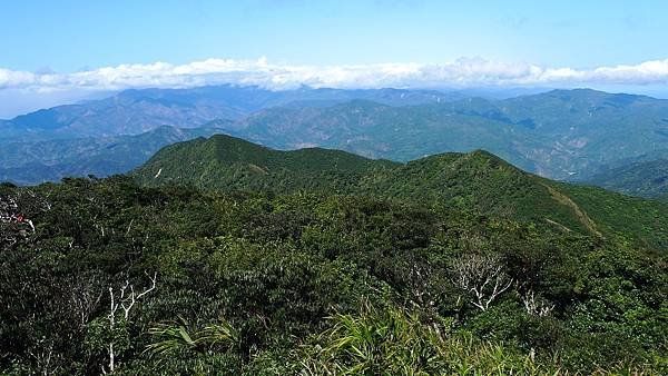 2012-02-04小百岳里龍山下集(597)