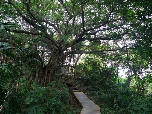 2012-02-03搭高鐵登左營龜山順遊蓮池潭(593)