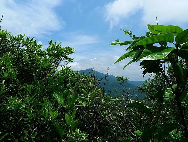 P1100514.JPG