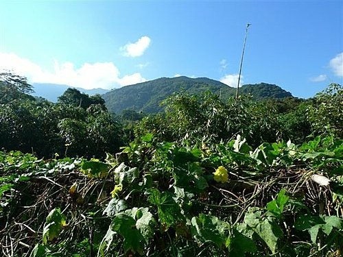 2010-09-12火燒寮山、蚋仔尖、熊空山、竹坑山、加九嶺