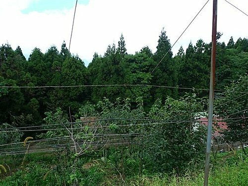 2010-09-12火燒寮山、蚋仔尖、熊空山、竹坑山、加九嶺